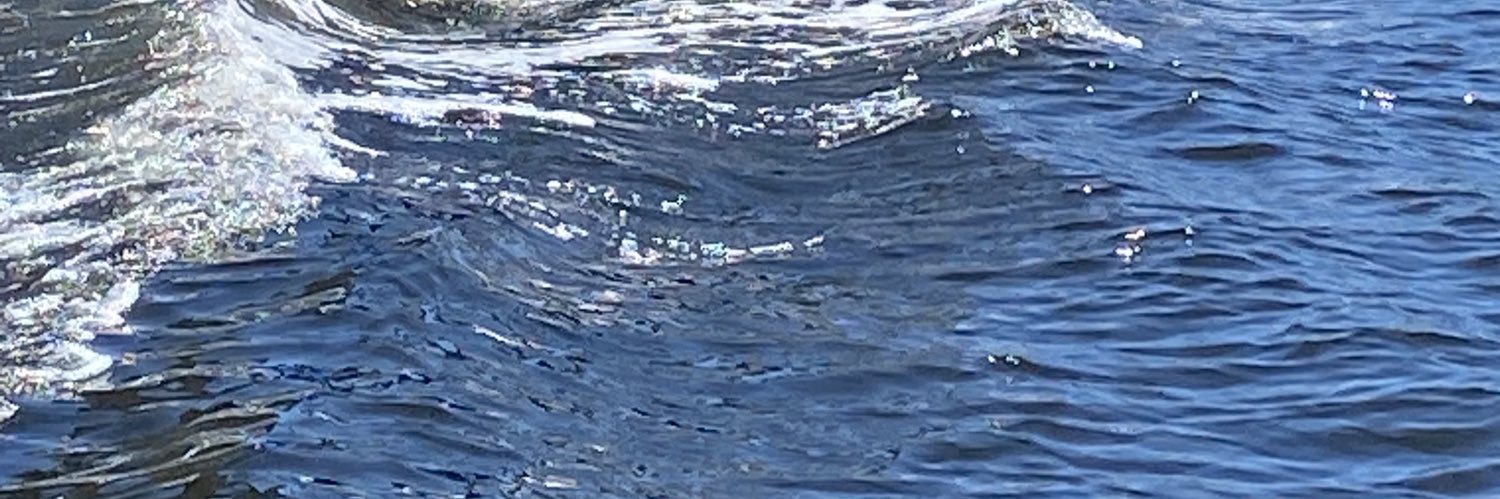 HalloweenBeach's profile banner image