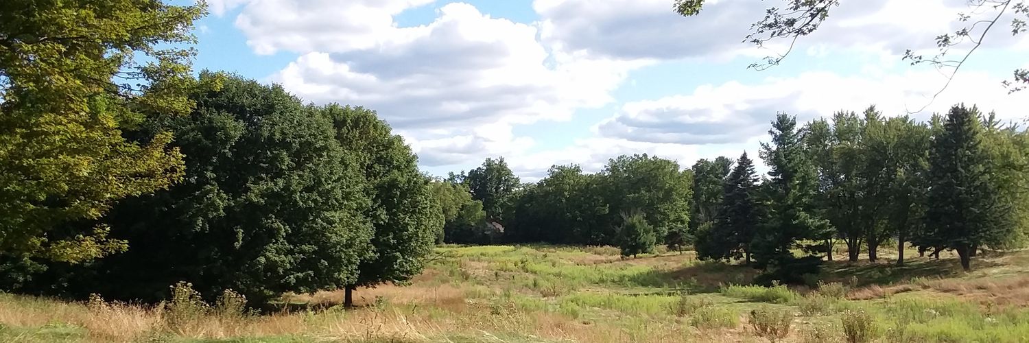 treeeswallow's profile banner image