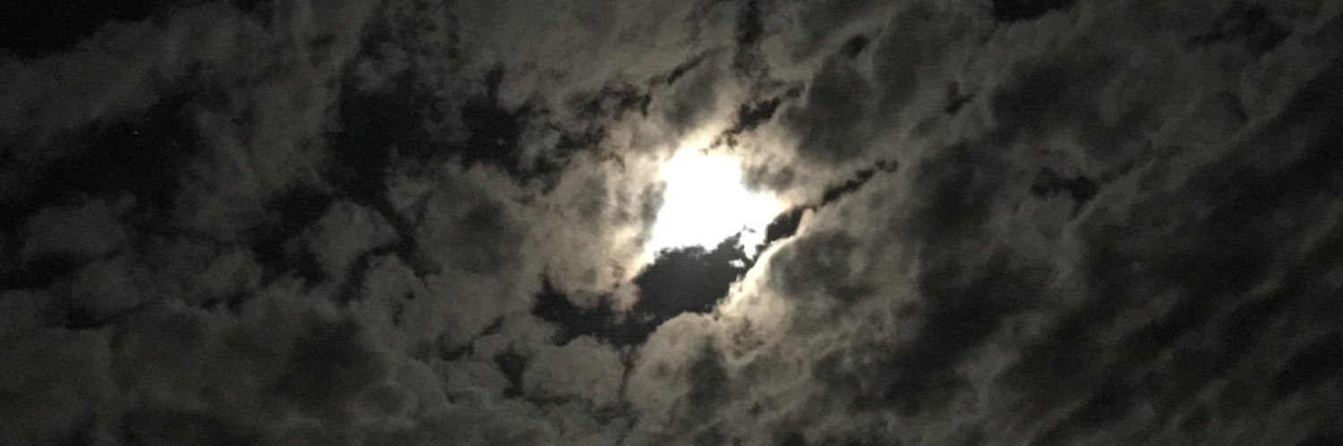 GoGoBethany's profile banner image