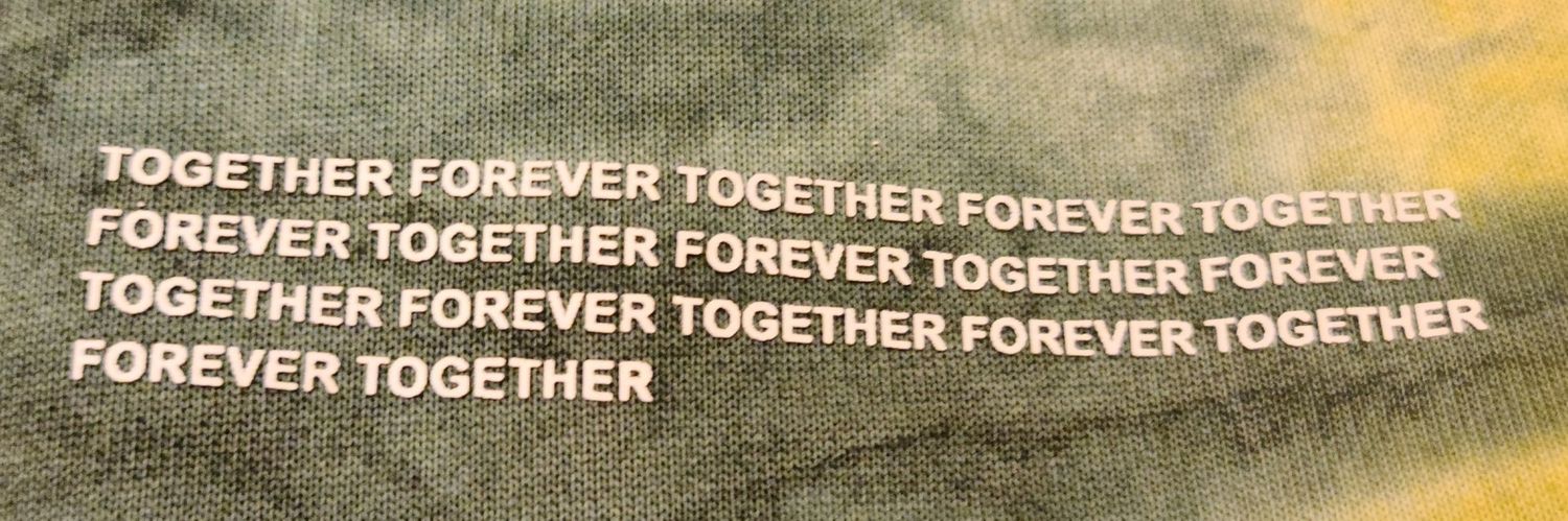 Tiger Chameleon banner