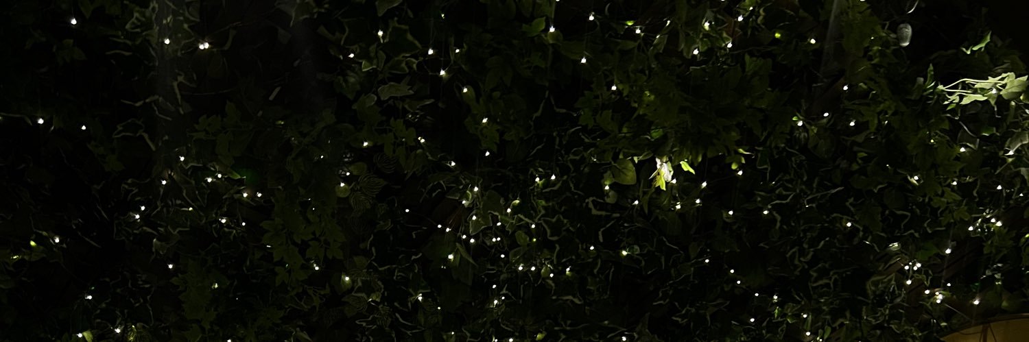aviiibcm's profile banner image
