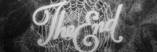 AlbaRuizM16's profile banner image