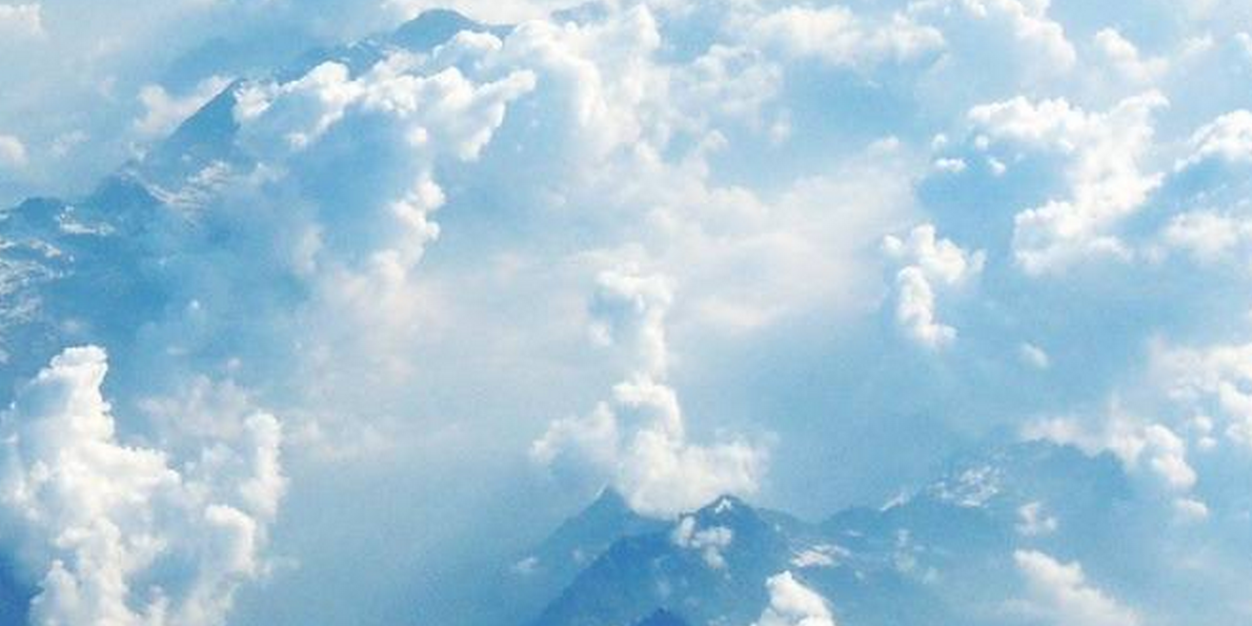 tarzancohen's profile banner image