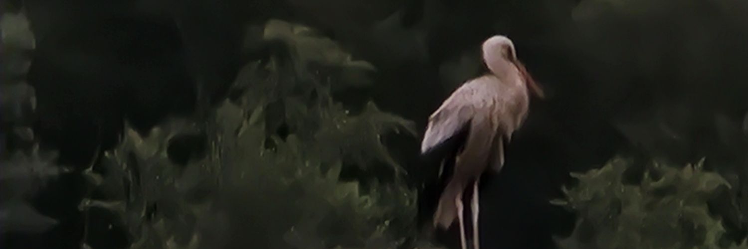 KayaFill's profile banner image