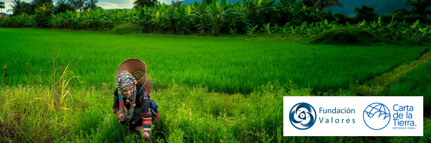 FundacValores's profile banner image