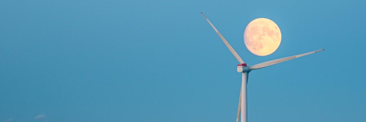 sofieirgens's profile banner image