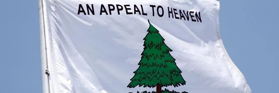 Goyim in Abundance banner