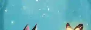 mapidcg's profile banner image