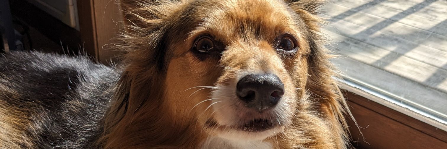 maddyjoyy's profile banner image