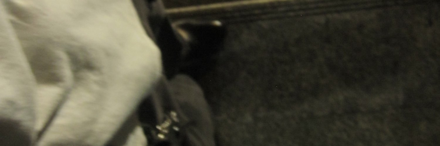 ẽ banner