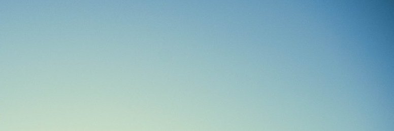 Kim P banner