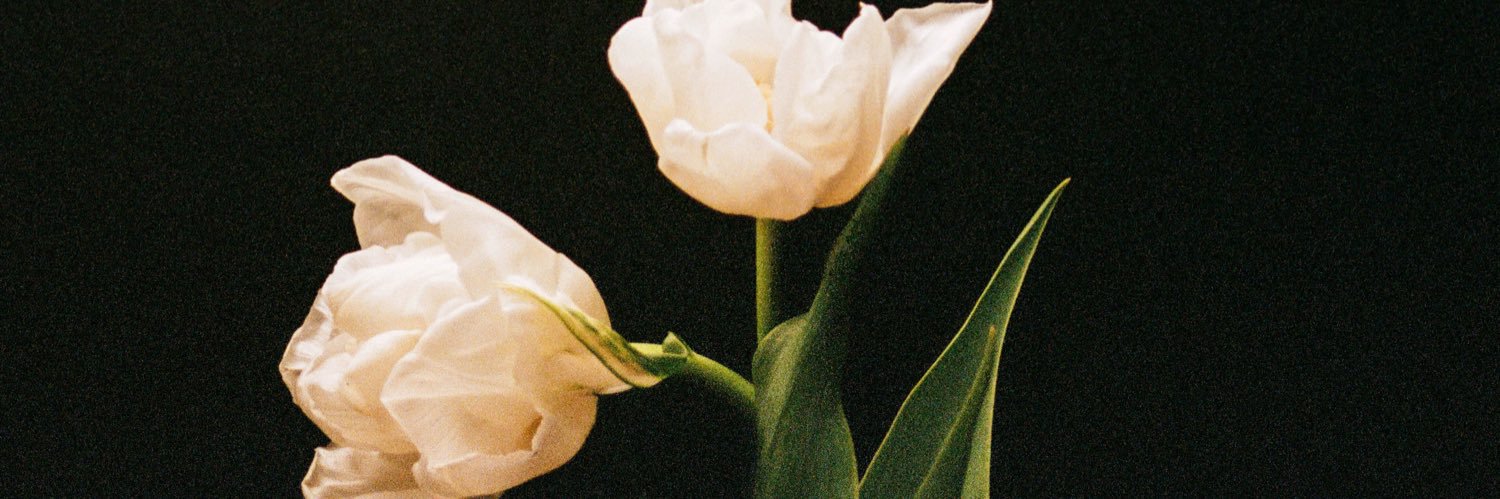 HannahGimblett's profile banner image