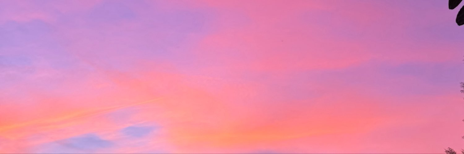 itsspxnky's profile banner image