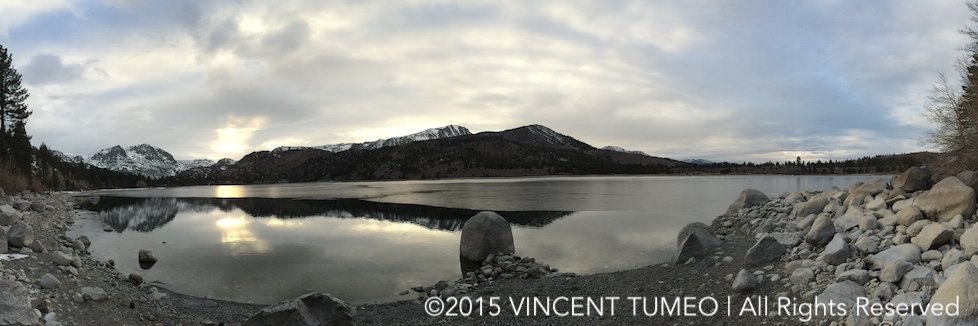 Vincent Tumeo banner