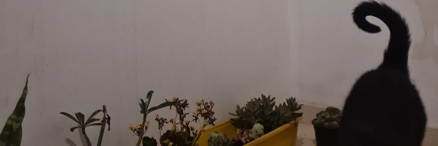 giuliana banner
