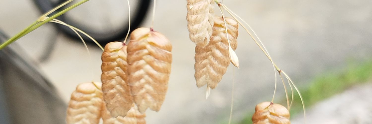 fake2324's profile banner image