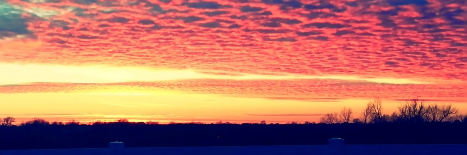 koheeler's profile banner image