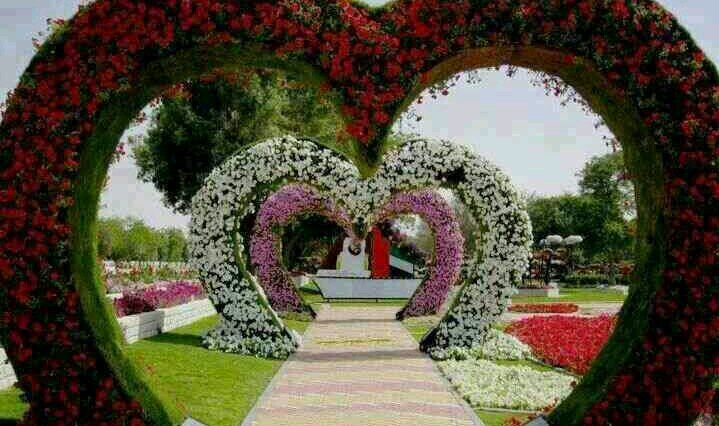 ALMAMOUN ABO SALIH banner