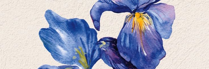 ShanyaNava's profile banner image
