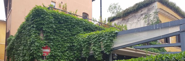 percivalplan Profile Banner