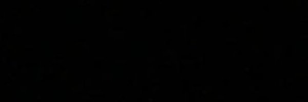 Wickex2 Profile Banner