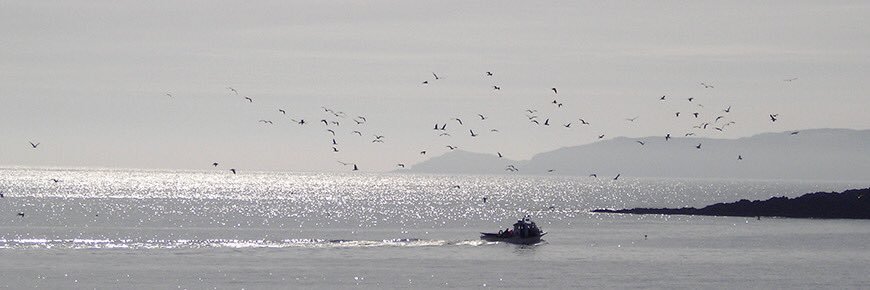 Derek McGarry banner