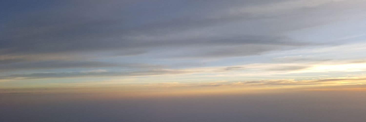 NoelConifer's profile banner image