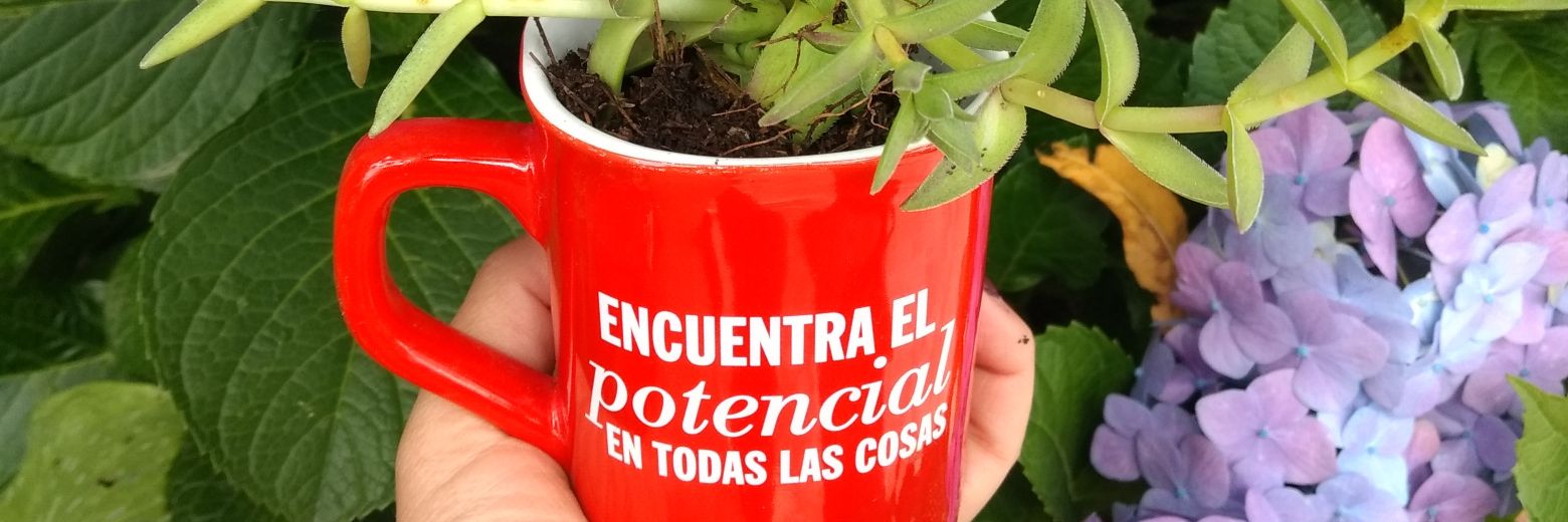 Valle_Ely_C's profile banner image