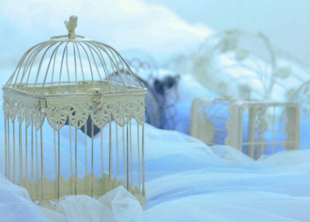 らさ🌙🌲＠計画ねりねりタイム banner