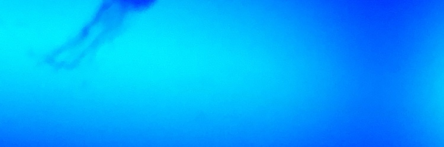 shimi43's profile banner image
