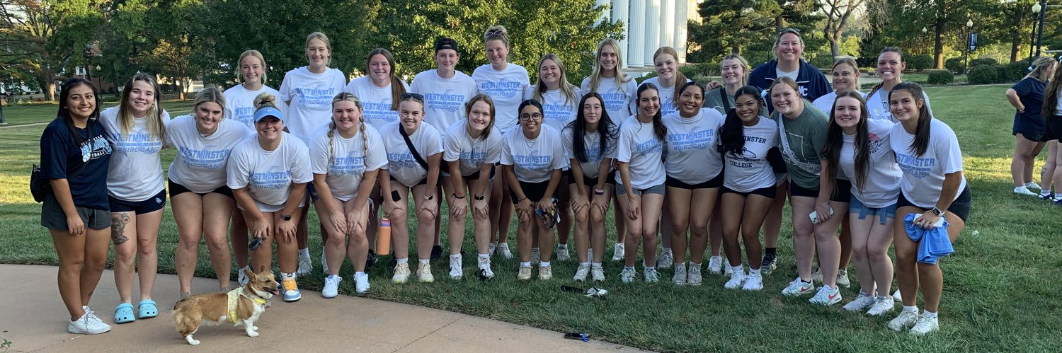 WestmoSoftball banner