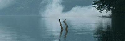 あり@雑食 banner