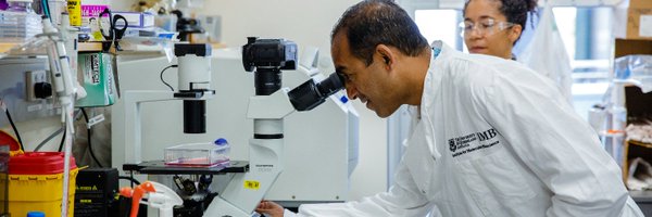 Manica_amr Profile Banner