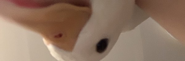 egien_e Profile Banner