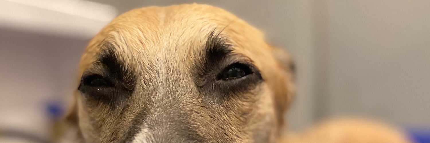MorganDavey1's profile banner image