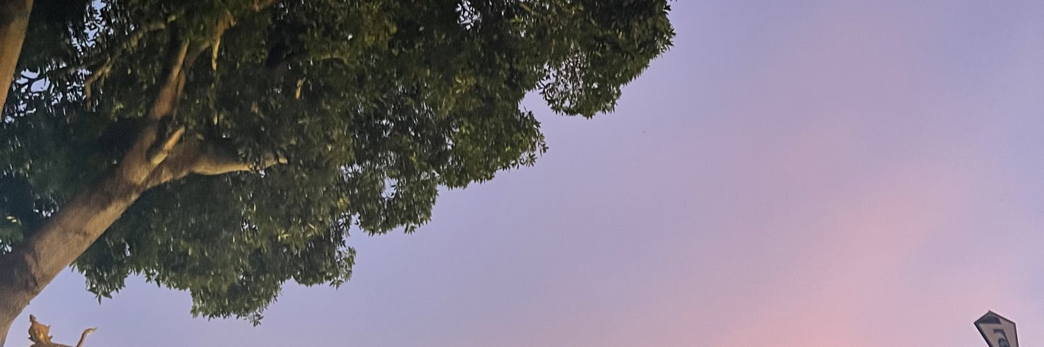 JeeRaToy's profile banner image