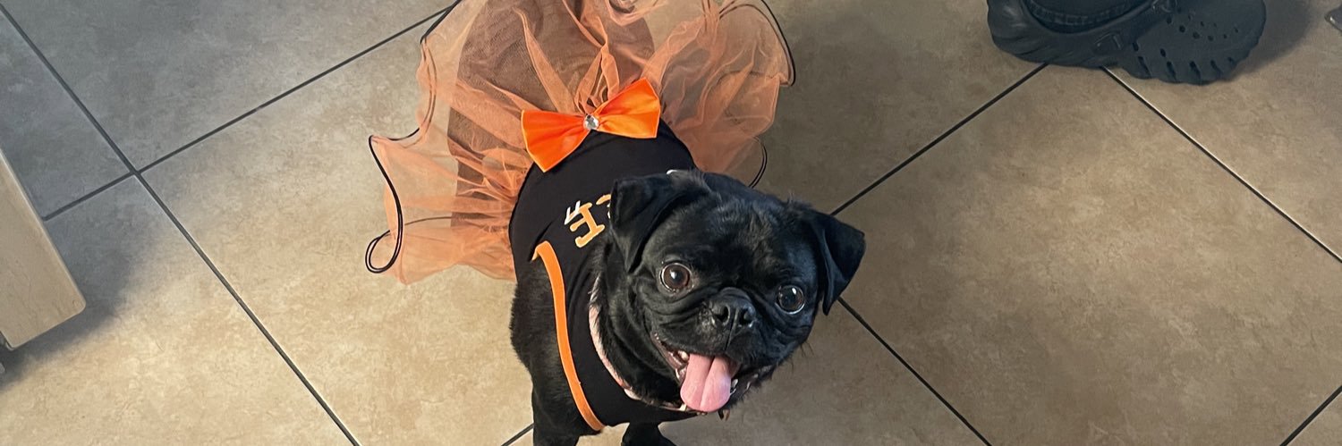 stephaniedeeex1's profile banner image