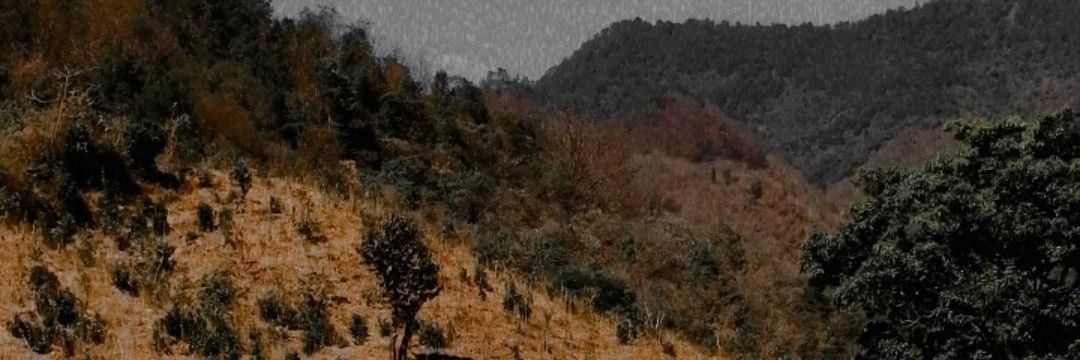 slnl_99's profile banner image