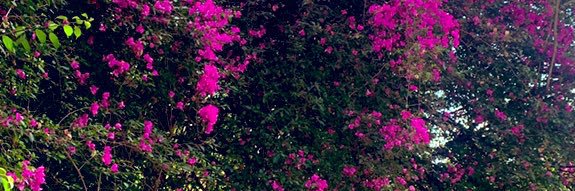 ecoeco1981's profile banner image