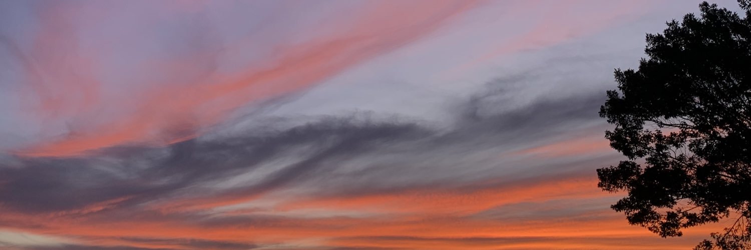 correa_mikaele's profile banner image