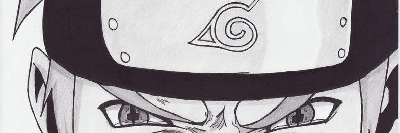 papi_shampoo67's profile banner image