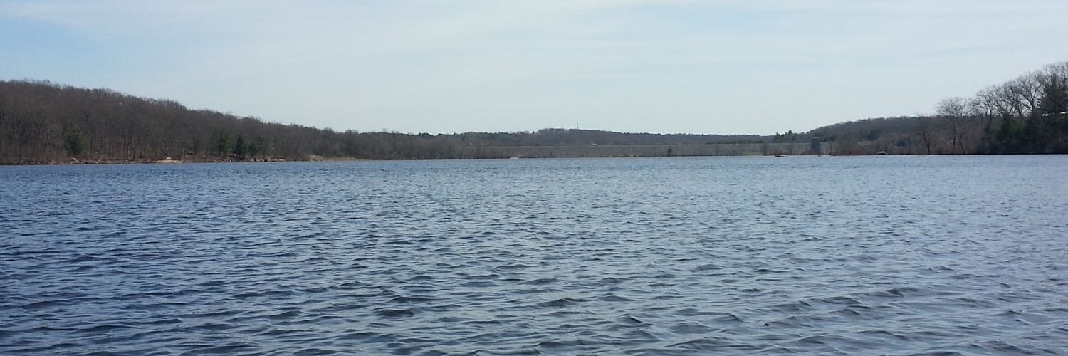 Googla banner