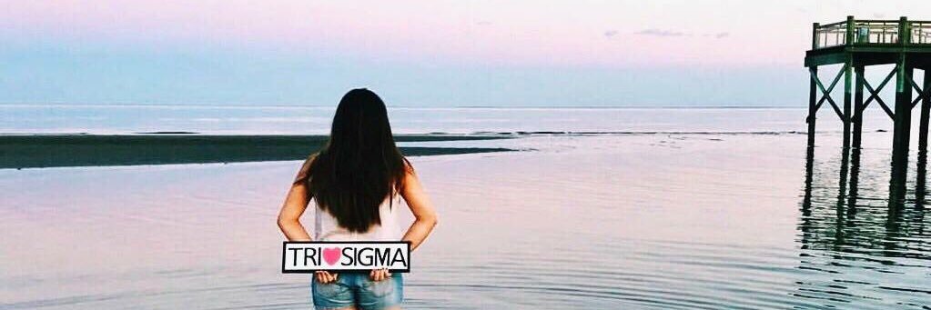 Tri Sigma NU banner