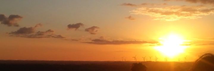 laripocot's profile banner image
