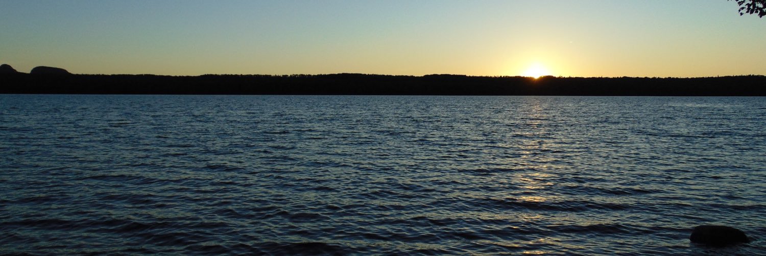 danirae713's profile banner image