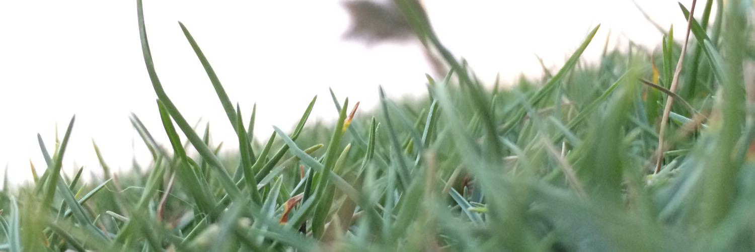 Bzns_h's profile banner image
