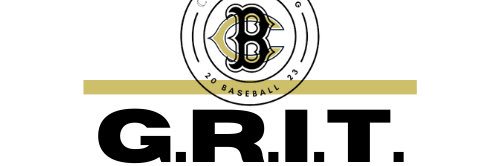 Bulldog Baseball banner