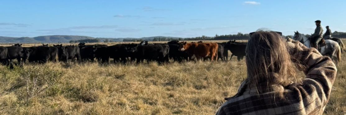 GraceQuintans banner