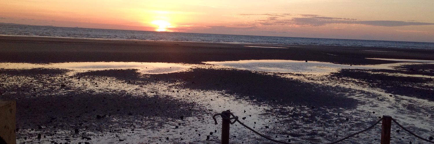 Frederique Testemale banner