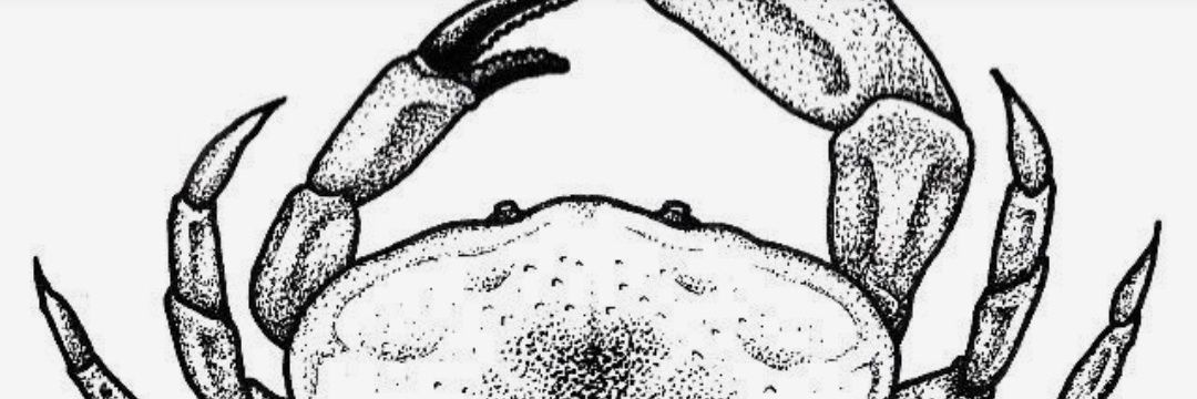 vane_saens's profile banner image